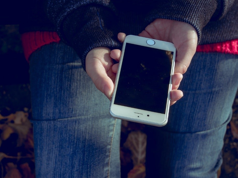 &nbsp; Фото: Pixabay